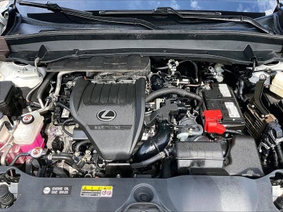 2024 Lexus TX 350 Premium