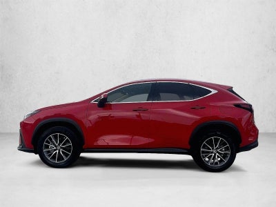 2024 Lexus NX 250 Premium