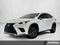 2019 Lexus NX 300 F SPORT