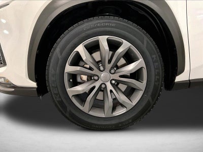2019 Lexus NX 300 F SPORT