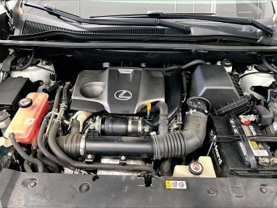 2019 Lexus NX 300 F SPORT