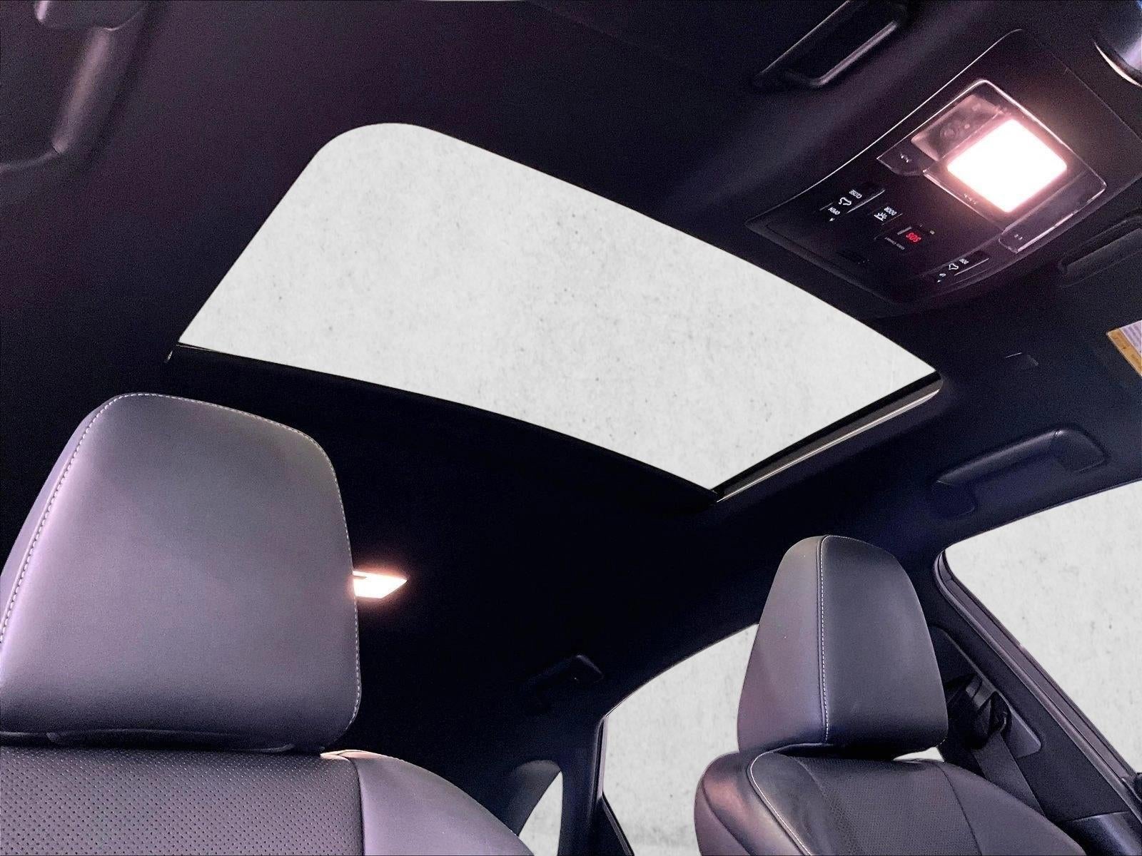 2019 Lexus NX 300 F SPORT
