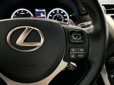2019 Lexus NX 300 F SPORT