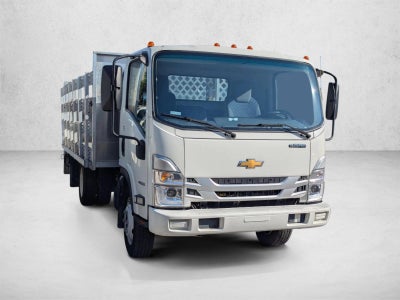 2023 Chevrolet Low Cab Forward 4500 HG 1WT
