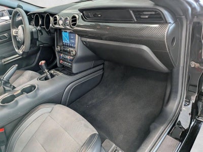 2019 Ford Mustang Shelby GT350 Fastback