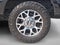 2020 Ford Super Duty F-250 SRW LARIAT 4WD Crew Cab 6.75' Box