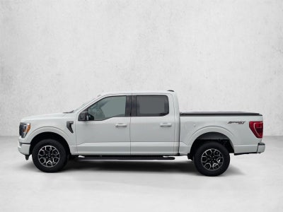 2023 Ford F-150 XLT 4WD SuperCrew 5.5' Box