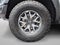 2023 Ford F-150 Raptor 4WD SuperCrew 5.5' Box