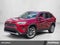 2019 Toyota RAV4 Limited FWD (Natl)