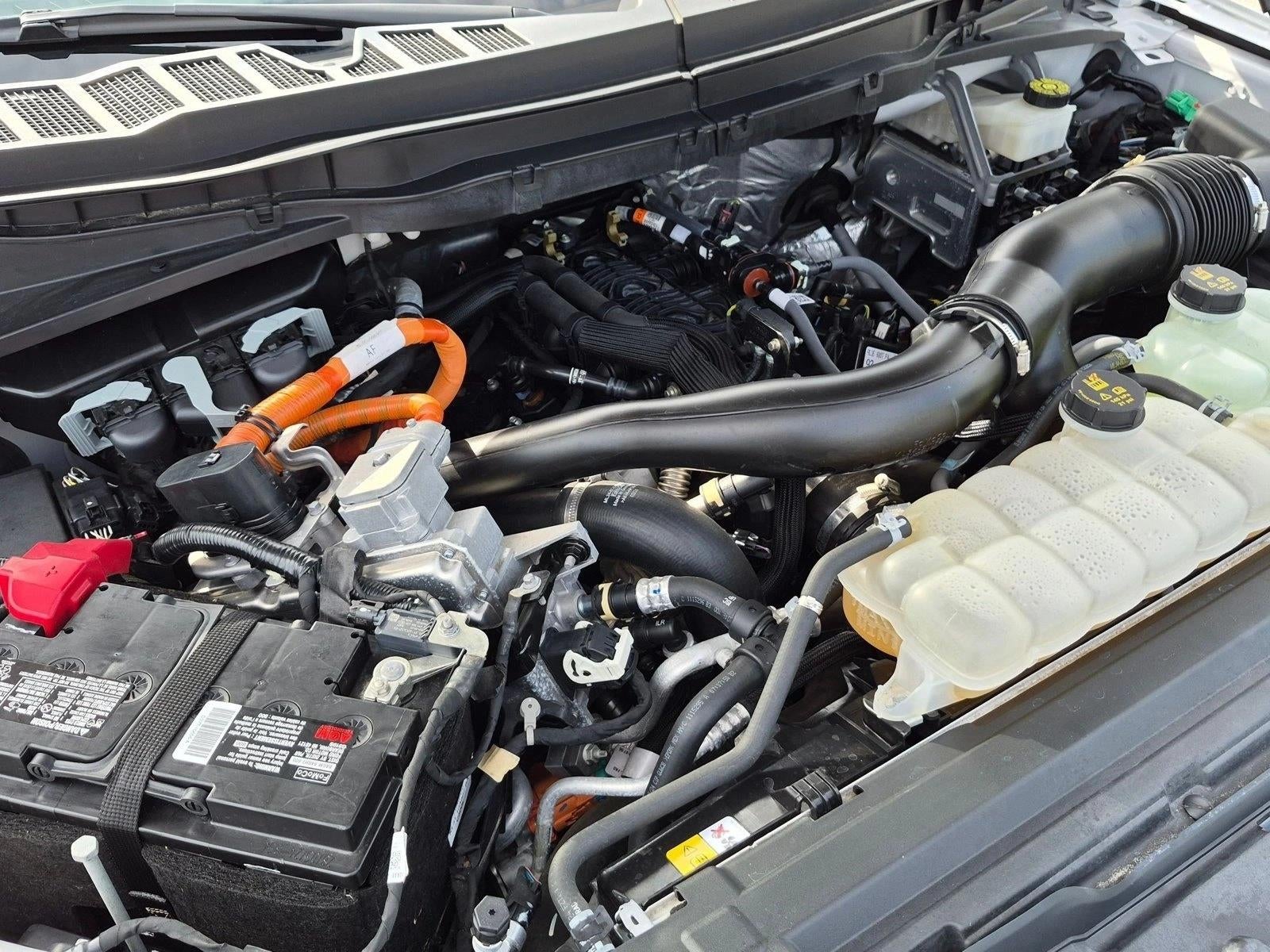 2024 Ford F-150 King Ranch 4WD SuperCrew 5.5' Box