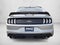 2019 Ford Mustang GT Fastback