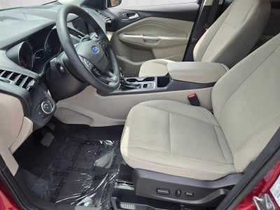 2019 Ford Escape SE 4WD