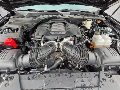 2025 Ford Mustang GT Premium Fastback