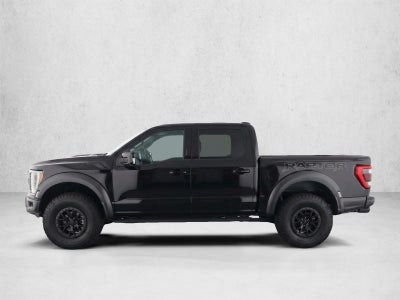 2023 Ford F-150 Raptor 4WD SuperCrew 5.5' Box