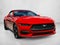 2024 Ford Mustang EcoBoost Premium Convertible