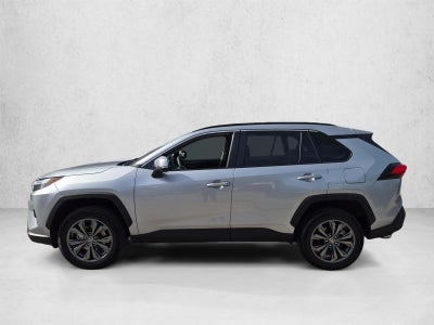 2023 Toyota RAV4 Hybrid XLE Premium AWD (Natl)
