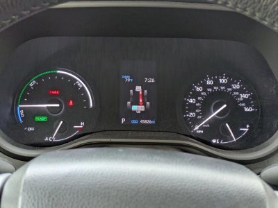 2024 Toyota Sienna XLE FWD 8-Passenger (Natl)