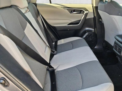 2019 Toyota RAV4 XLE AWD (Natl)