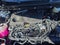 2026 Toyota RAV4 XLE Premium FWD (Natl)