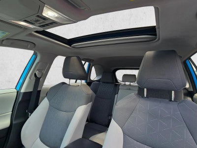 2019 Toyota RAV4 XLE AWD (Natl)