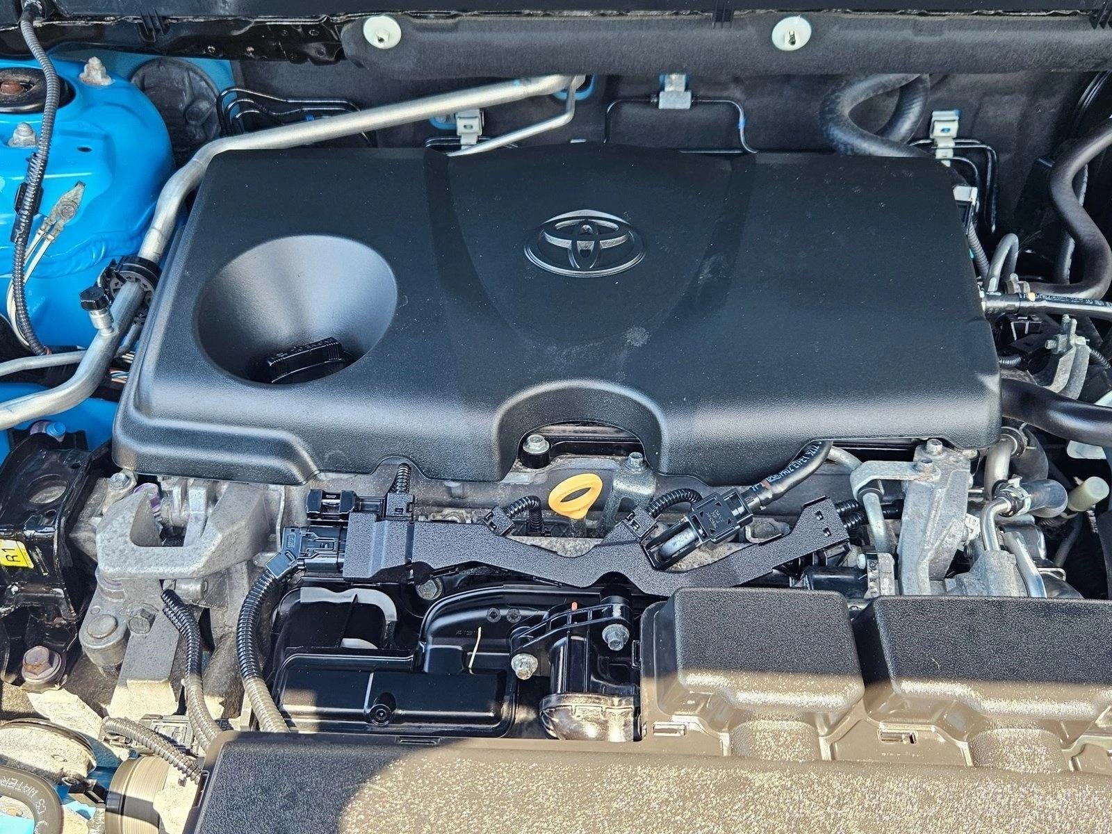 2019 Toyota RAV4 XLE AWD (Natl)