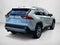 2024 Toyota RAV4 Limited FWD (Natl)