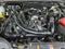 2025 Ford Ranger XLT 4WD SuperCrew 5' Box