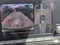2024 Nissan Pathfinder Rock Creek 4WD