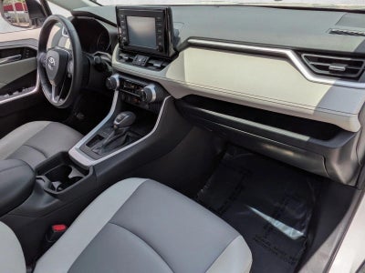 2019 Toyota RAV4 XLE Premium FWD (Natl)