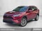 2023 Toyota RAV4 XLE Premium FWD (Natl)