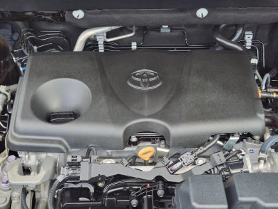 2023 Toyota RAV4 XLE Premium FWD (Natl)