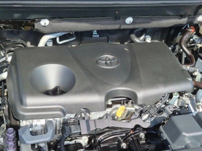 2024 Toyota RAV4 XLE FWD (Natl)