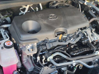 2021 Toyota Sienna XLE FWD 8-Passenger (Natl)