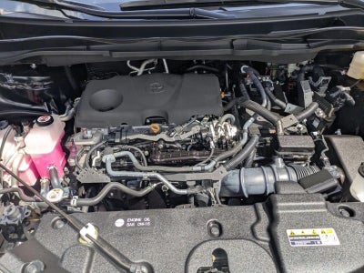 2023 Toyota Sienna XLE FWD 8-Passenger (Natl)