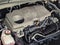 2022 Toyota Sienna XLE FWD 7-Passenger (Natl)