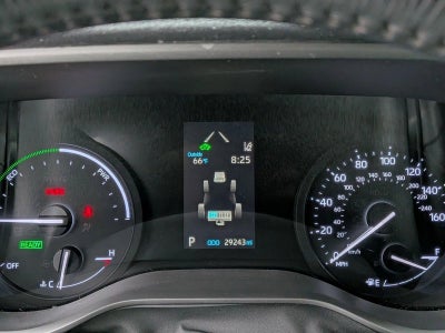 2021 Toyota Sienna XLE FWD 8-Passenger (Natl)