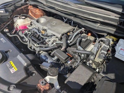 2021 Toyota Sienna XLE FWD 8-Passenger (Natl)