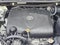 2019 Toyota Sienna XLE FWD 8-Passenger (Natl)