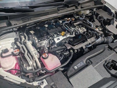 2024 Toyota Prius Prime XSE (Natl)