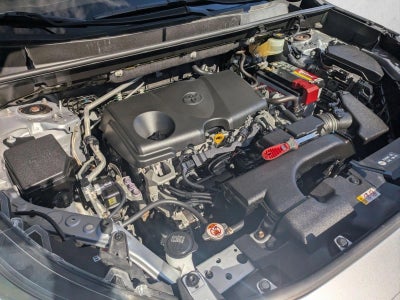 2019 Toyota RAV4 Limited AWD (Natl)