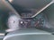 2021 Chevrolet Colorado Crew Cab Short Box 4-Wheel Drive ZR2