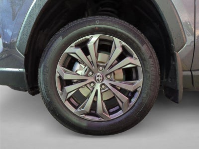 2025 Toyota RAV4 Hybrid XLE Premium AWD (Natl)
