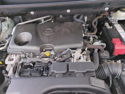 2019 Toyota RAV4 XLE Premium FWD (Natl)