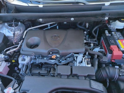 2019 Toyota RAV4 Limited FWD (Natl)