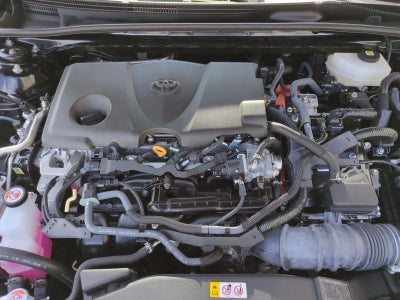 2025 Toyota Camry LE (Natl)