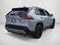2024 Toyota RAV4 Hybrid XSE AWD (Natl)