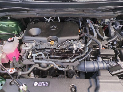 2024 Toyota Sienna LE FWD 8-Passenger (Natl)