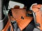 2026 BMW X7 M60i Sports Activity Vehicle