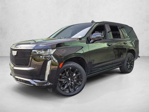 2024 Cadillac Escalade RWD Sport Platinum