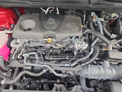 2024 Toyota Sienna XLE FWD 8-Passenger (Natl)